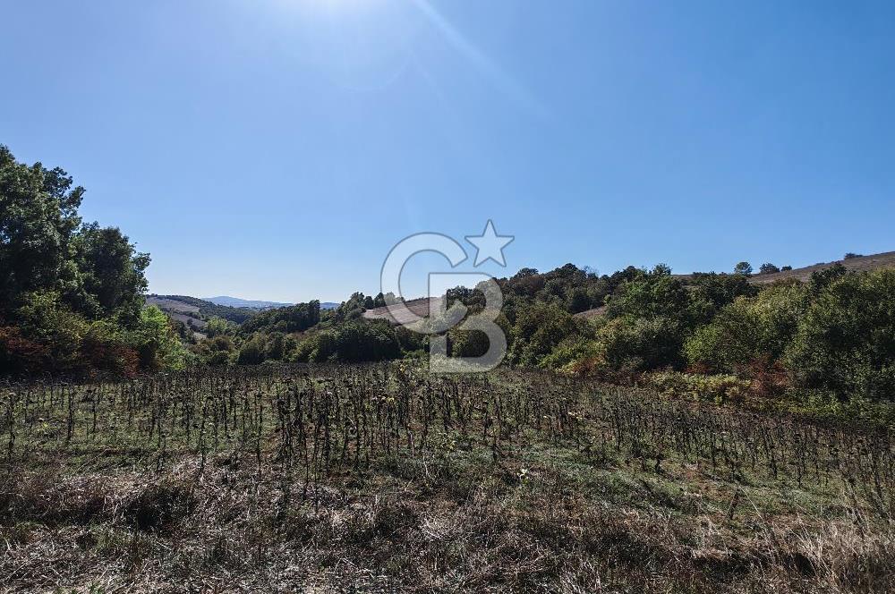 Derince Tahtalı da 4800 m2 SATILIK TARLA, Kadastral yolu var