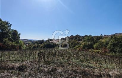 Derince Tahtalı da 4800 m2 SATILIK TARLA, Kadastral yolu var