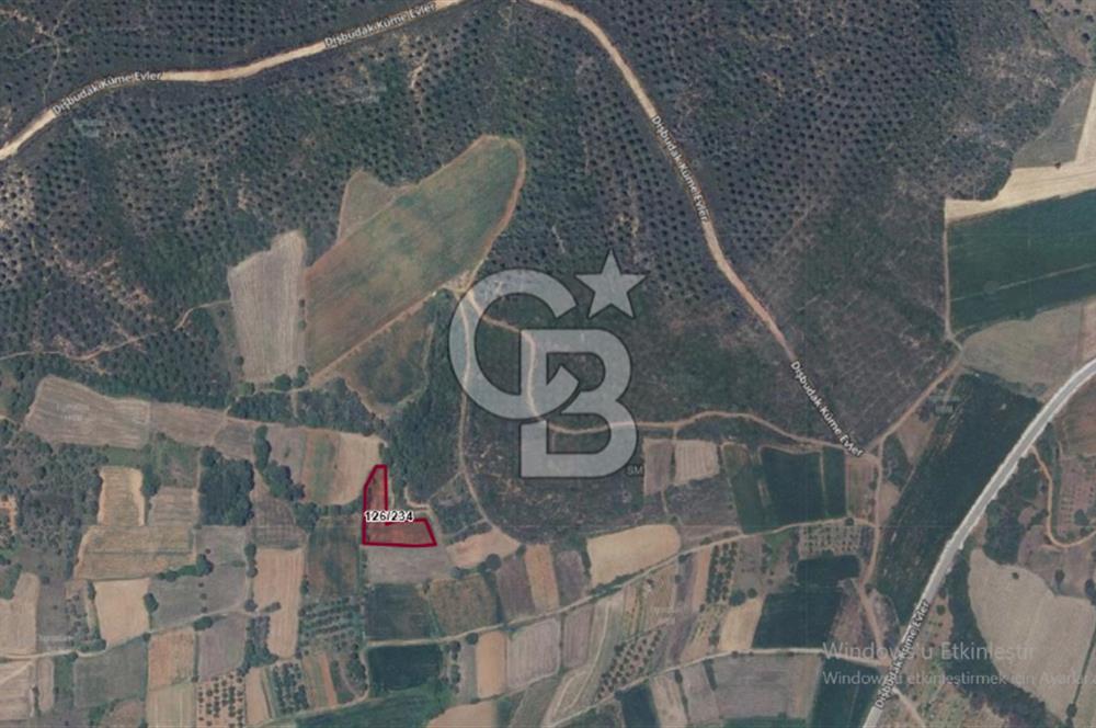 ÇANAKKALE LAPSEKİ DİŞBUDAK KÖYÜNDE SATILIK ARAZİ 