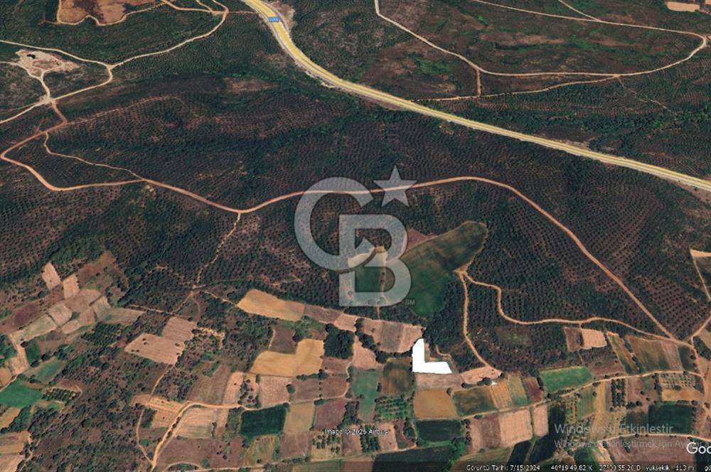 ÇANAKKALE LAPSEKİ DİŞBUDAK KÖYÜNDE SATILIK ARAZİ 