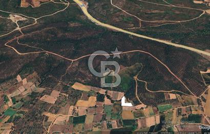 ÇANAKKALE LAPSEKİ DİŞBUDAK KÖYÜNDE SATILIK ARAZİ 