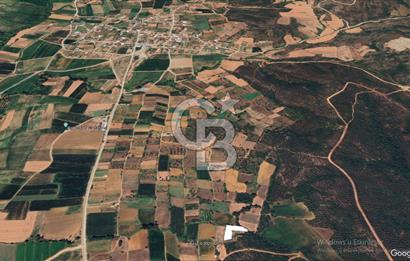 ÇANAKKALE LAPSEKİ DİŞBUDAK KÖYÜNDE SATILIK ARAZİ 