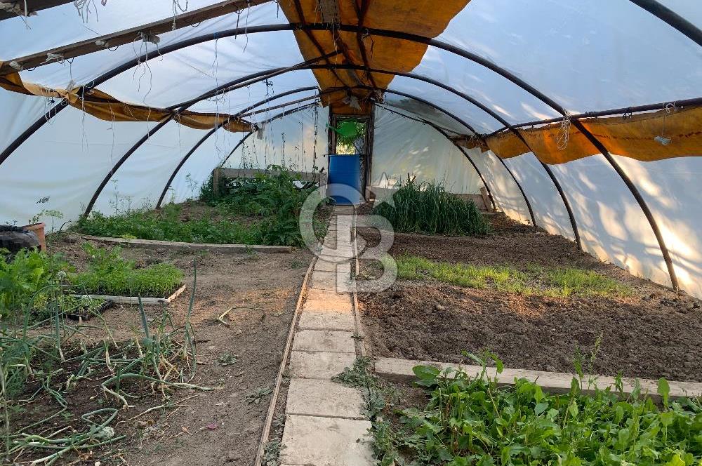 ÇUBUK TAŞPINARDA ASVALT YOLA ÇEPHE SATILIK ÇİFLİK EVİ