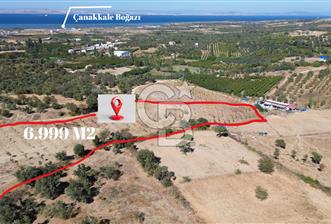 ÇANAKKALE LAPSEKİ ÇARDAK’TA BOĞAZ MANZARALI SATILIK TARLA 