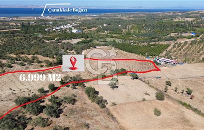 ÇANAKKALE LAPSEKİ ÇARDAK’TA BOĞAZ MANZARALI SATILIK TARLA 