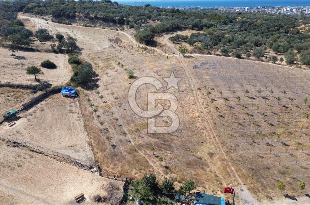 ÇANAKKALE LAPSEKİ ÇARDAK’TA BOĞAZ MANZARALI SATILIK TARLA 