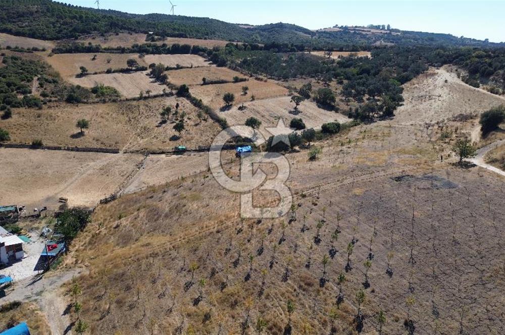 ÇANAKKALE LAPSEKİ ÇARDAK’TA BOĞAZ MANZARALI SATILIK TARLA 