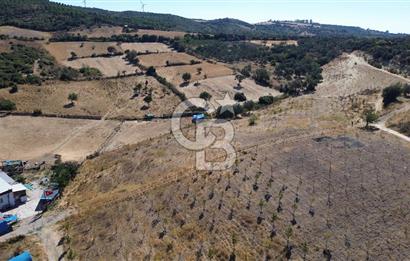 ÇANAKKALE LAPSEKİ ÇARDAK’TA BOĞAZ MANZARALI SATILIK TARLA 