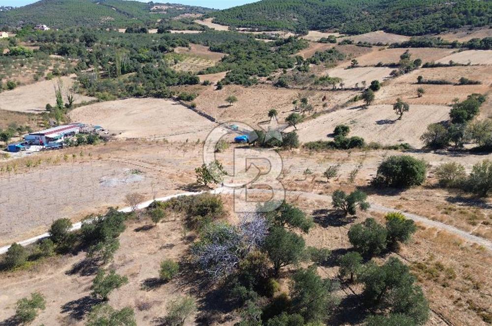 ÇANAKKALE LAPSEKİ ÇARDAK’TA BOĞAZ MANZARALI SATILIK TARLA 
