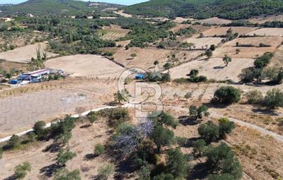 ÇANAKKALE LAPSEKİ ÇARDAK’TA BOĞAZ MANZARALI SATILIK TARLA 