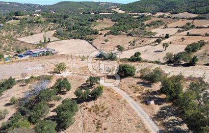 ÇANAKKALE LAPSEKİ ÇARDAK’TA BOĞAZ MANZARALI SATILIK TARLA 