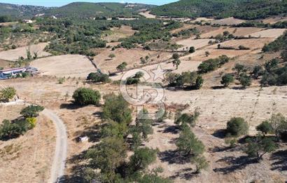 ÇANAKKALE LAPSEKİ ÇARDAK’TA BOĞAZ MANZARALI SATILIK TARLA 