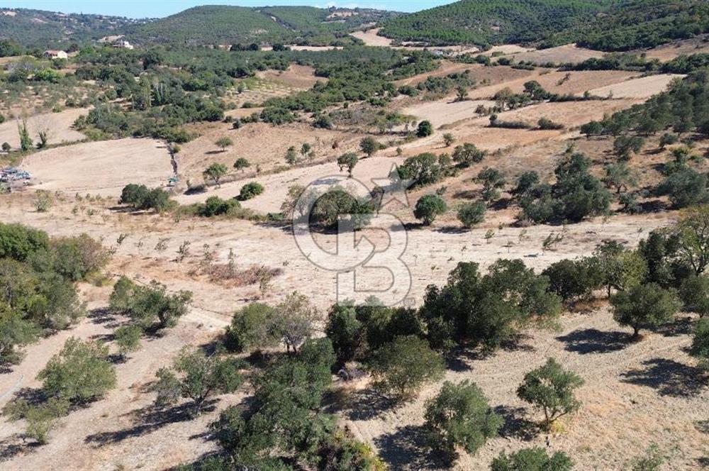 ÇANAKKALE LAPSEKİ ÇARDAK’TA BOĞAZ MANZARALI SATILIK TARLA 