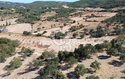 ÇANAKKALE LAPSEKİ ÇARDAK’TA BOĞAZ MANZARALI SATILIK TARLA 