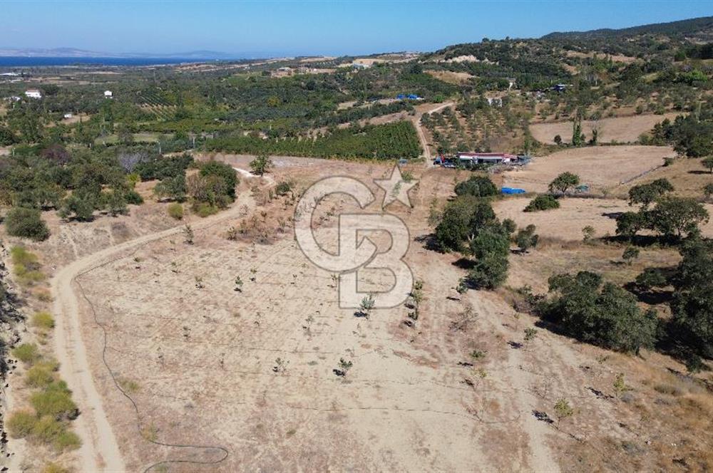 ÇANAKKALE LAPSEKİ ÇARDAK’TA BOĞAZ MANZARALI SATILIK TARLA 