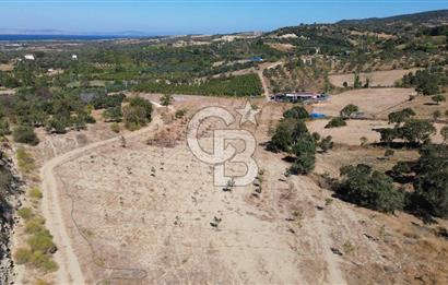 ÇANAKKALE LAPSEKİ ÇARDAK’TA BOĞAZ MANZARALI SATILIK TARLA 