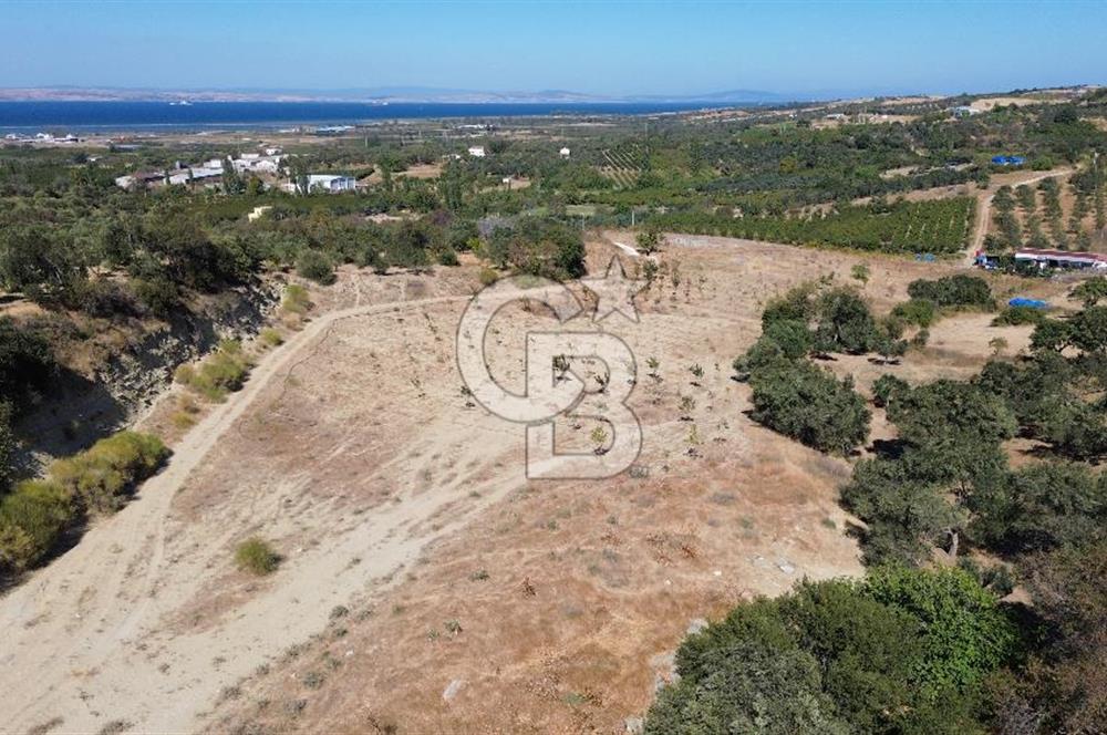 ÇANAKKALE LAPSEKİ ÇARDAK’TA BOĞAZ MANZARALI SATILIK TARLA 