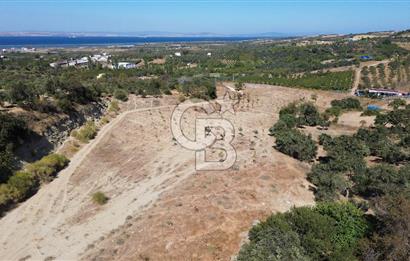 ÇANAKKALE LAPSEKİ ÇARDAK’TA BOĞAZ MANZARALI SATILIK TARLA 