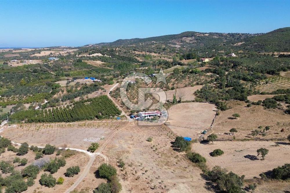 ÇANAKKALE LAPSEKİ ÇARDAK’TA BOĞAZ MANZARALI SATILIK TARLA 