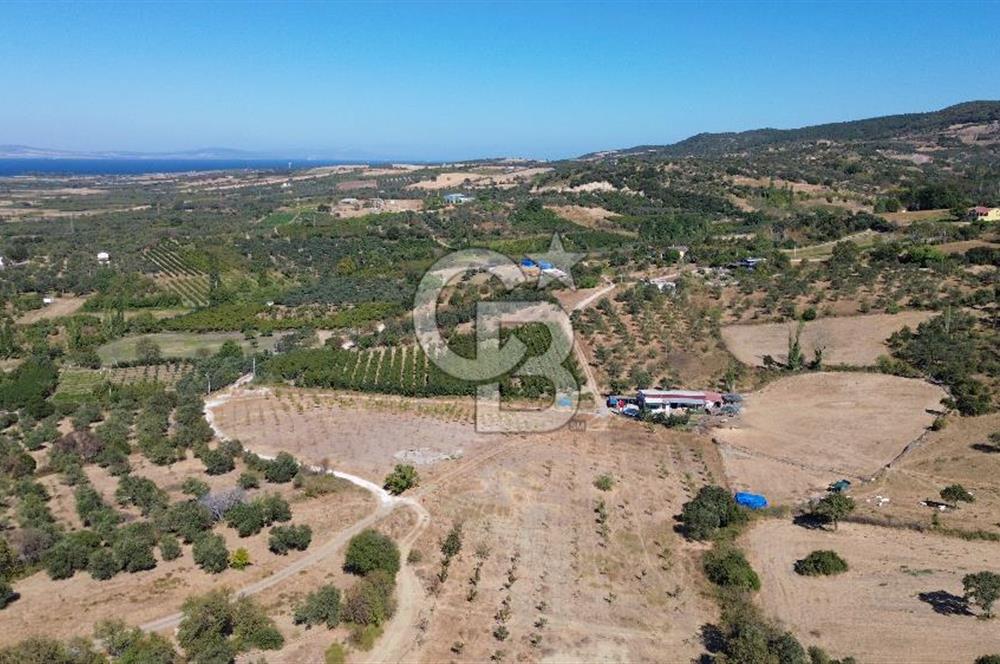 ÇANAKKALE LAPSEKİ ÇARDAK’TA BOĞAZ MANZARALI SATILIK TARLA 
