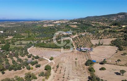 ÇANAKKALE LAPSEKİ ÇARDAK’TA BOĞAZ MANZARALI SATILIK TARLA 