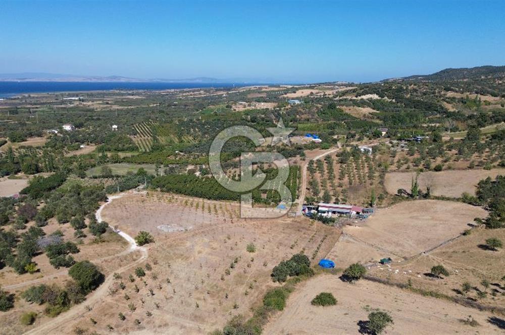 ÇANAKKALE LAPSEKİ ÇARDAK’TA BOĞAZ MANZARALI SATILIK TARLA 