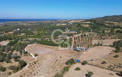 ÇANAKKALE LAPSEKİ ÇARDAK’TA BOĞAZ MANZARALI SATILIK TARLA 