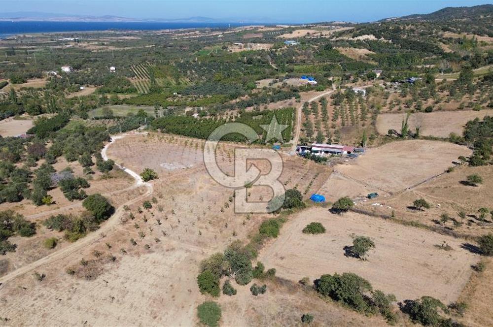 ÇANAKKALE LAPSEKİ ÇARDAK’TA BOĞAZ MANZARALI SATILIK TARLA 