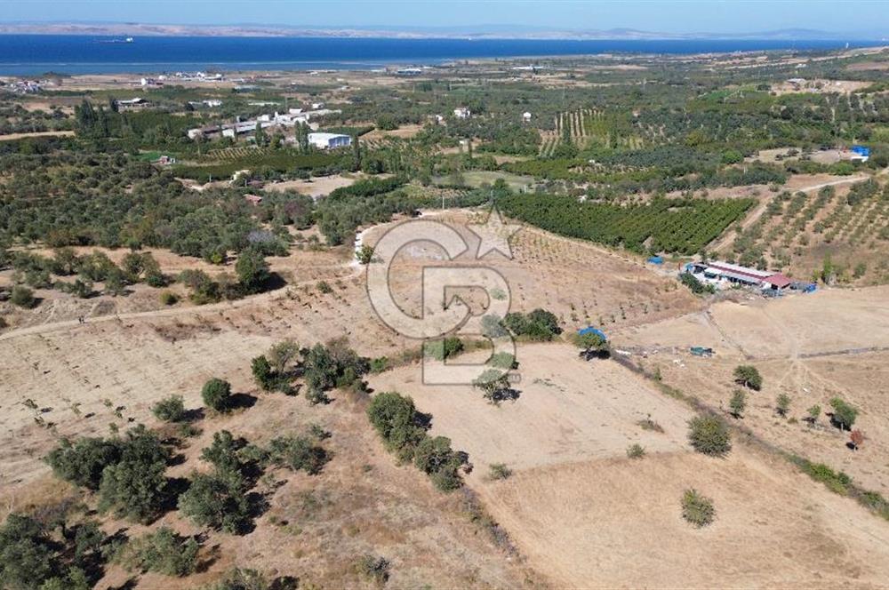 ÇANAKKALE LAPSEKİ ÇARDAK’TA BOĞAZ MANZARALI SATILIK TARLA 