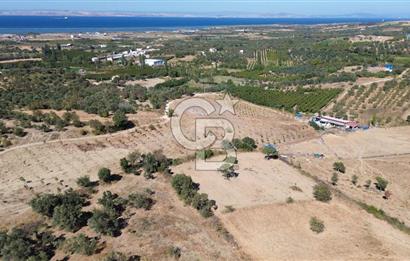 ÇANAKKALE LAPSEKİ ÇARDAK’TA BOĞAZ MANZARALI SATILIK TARLA 