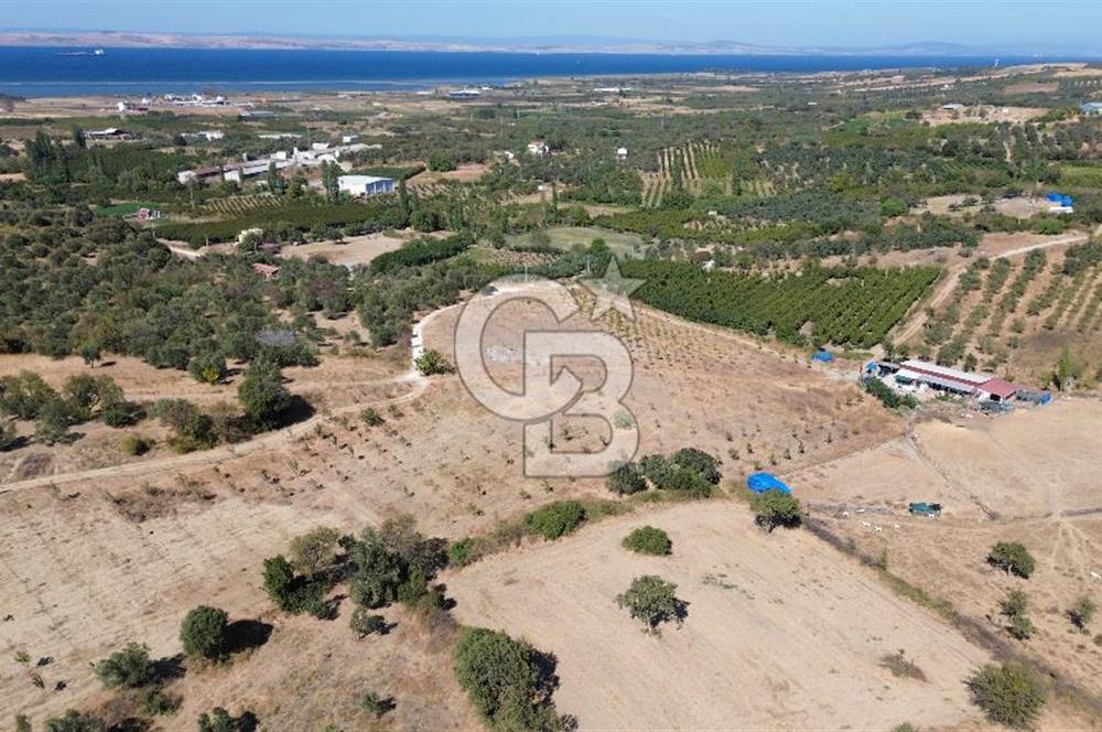 ÇANAKKALE LAPSEKİ ÇARDAK’TA BOĞAZ MANZARALI SATILIK TARLA 