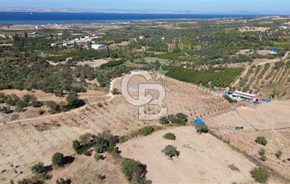 ÇANAKKALE LAPSEKİ ÇARDAK’TA BOĞAZ MANZARALI SATILIK TARLA 
