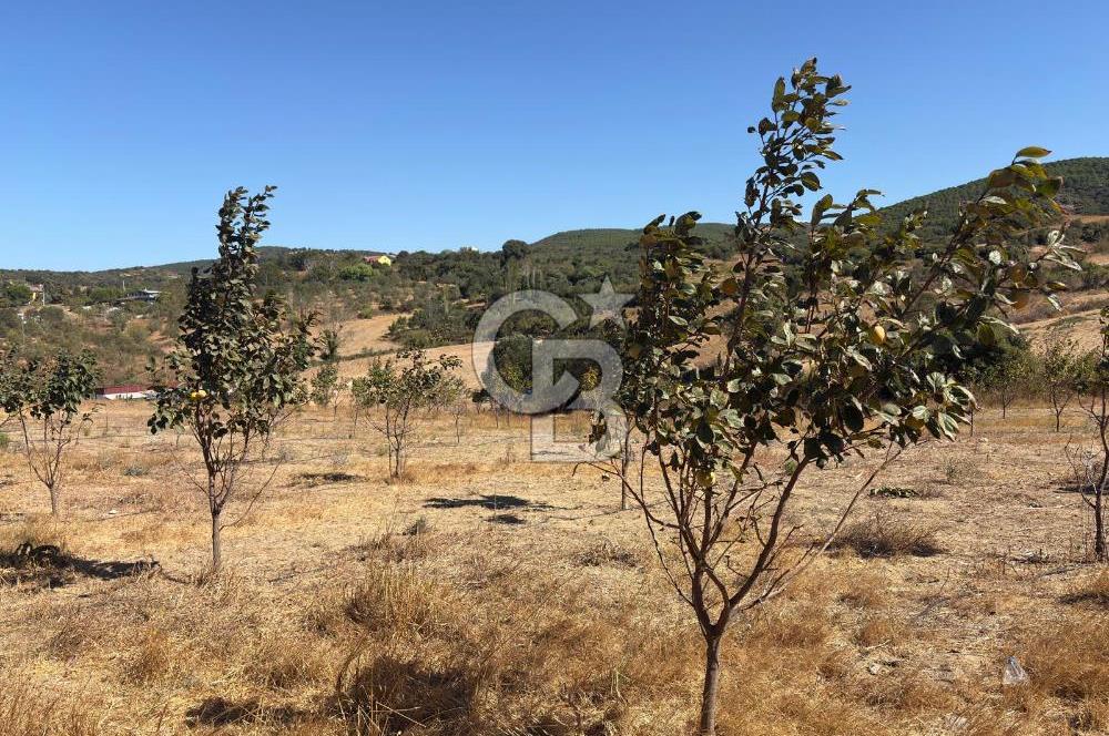 ÇANAKKALE LAPSEKİ ÇARDAK’TA BOĞAZ MANZARALI SATILIK TARLA 