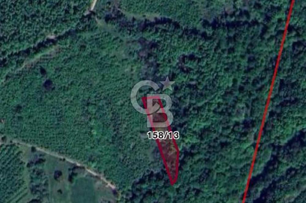 HENDEK ŞEYHLER KÖYÜNDE CAZİP FİYATA ORMAN MANZARALI 1801M2 TARLA