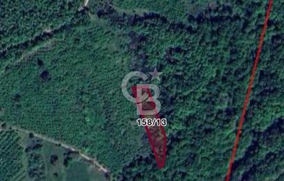 HENDEK ŞEYHLER KÖYÜNDE CAZİP FİYATA ORMAN MANZARALI 1801M2 TARLA
