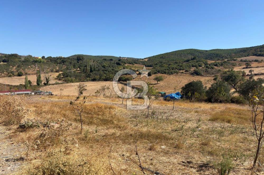 ÇANAKKALE LAPSEKİ ÇARDAK’TA BOĞAZ MANZARALI SATILIK TARLA 