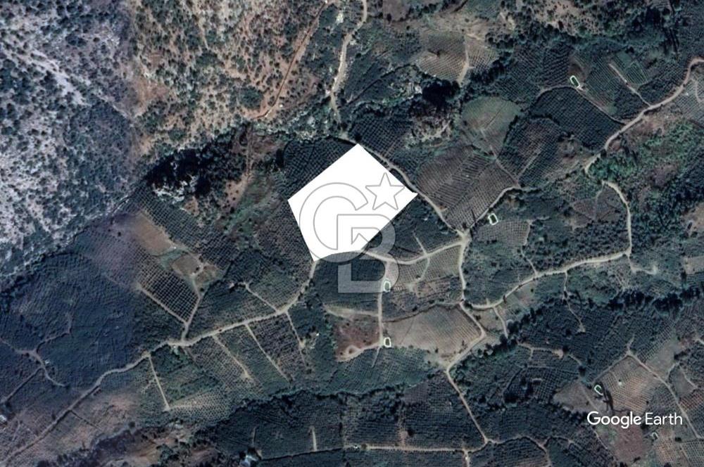 Mersin Mezitli Tepeköy’de Yüksek Getirili Bağ Bahçe Tarım Arazisi