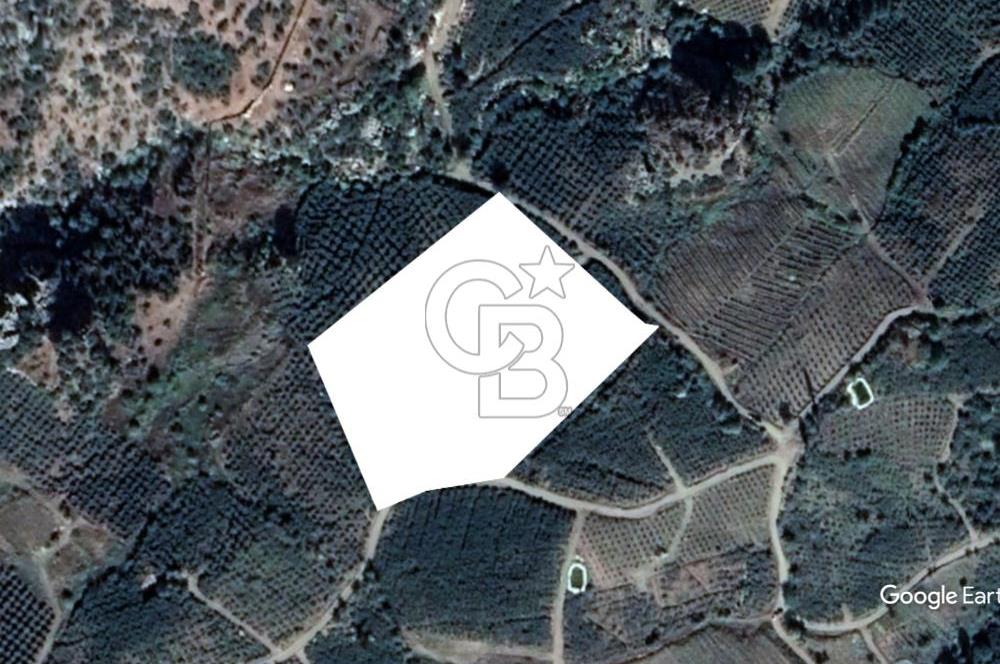 Mersin Mezitli Tepeköy’de Yüksek Getirili Bağ Bahçe Tarım Arazisi