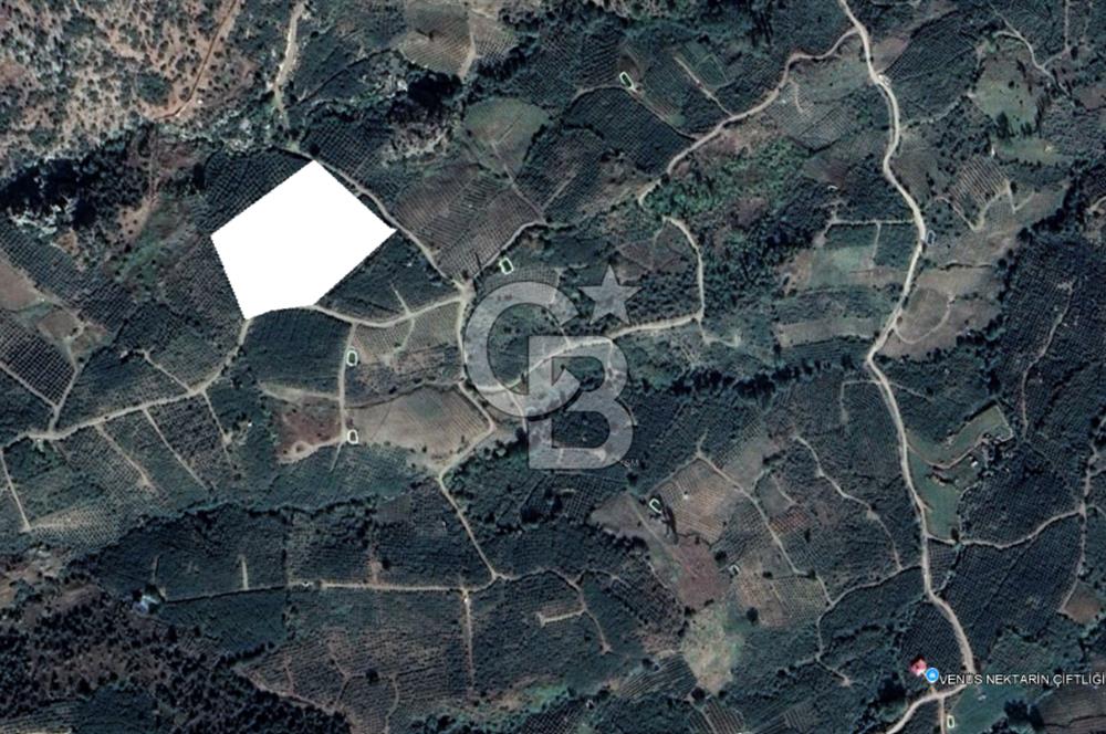 Mersin Mezitli Tepeköy’de Yüksek Getirili Bağ Bahçe Tarım Arazisi