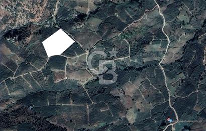 Mersin Mezitli Tepeköy’de Yüksek Getirili Bağ Bahçe Tarım Arazisi