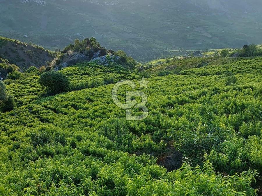 Mersin Mezitli Tepeköy’de Yüksek Getirili Bağ Bahçe Tarım Arazisi