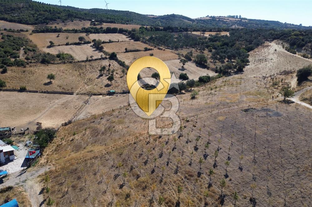 ÇANAKKALE LAPSEKİ ÇARDAK’TA BOĞAZ MANZARALI SATILIK TARLA 