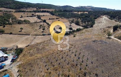 ÇANAKKALE LAPSEKİ ÇARDAK’TA BOĞAZ MANZARALI SATILIK TARLA 