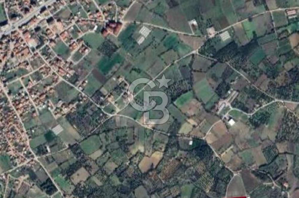 ÇANAKKALE LAPSEKİ ÇARDAK’TA BOĞAZ MANZARALI SATILIK TARLA 