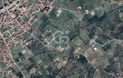 ÇANAKKALE LAPSEKİ ÇARDAK’TA BOĞAZ MANZARALI SATILIK TARLA 