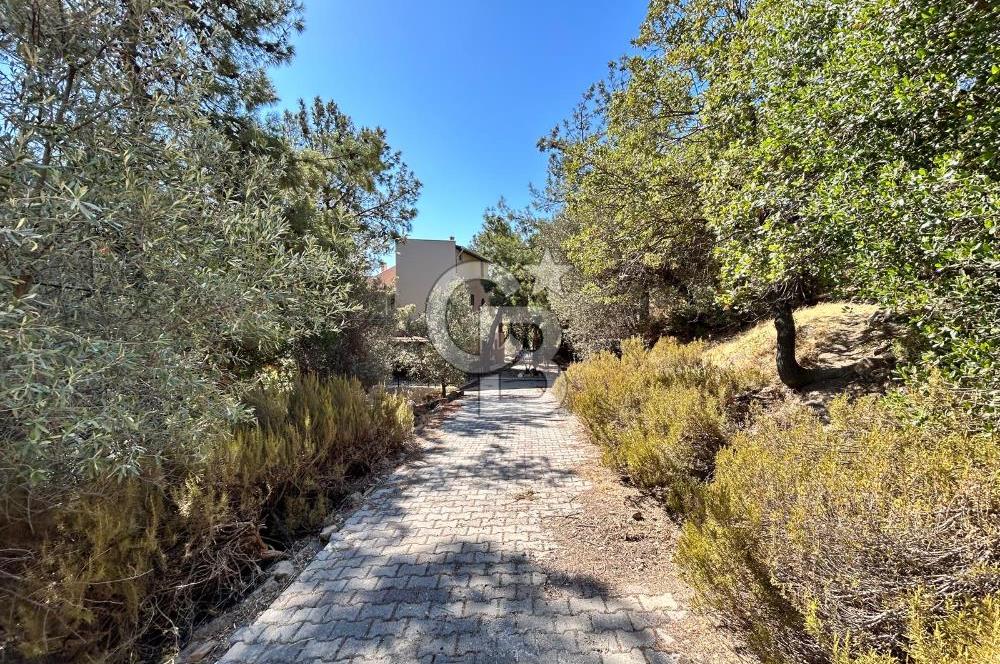  Yenifoça Cumhuriyet Mahallesinde Satılık 5+2 Tripleks Villa