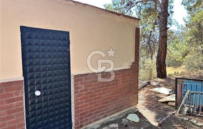  Yenifoça Cumhuriyet Mahallesinde Satılık 5+2 Tripleks Villa