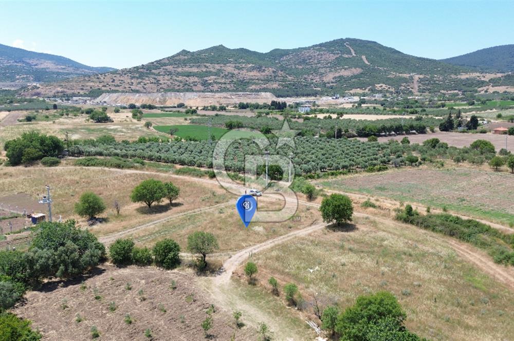 ALİAĞA ÇITAK'TA YOLA CEPHELİ 3119 m² ARSA - ELEKTRİK SU YANINDA
