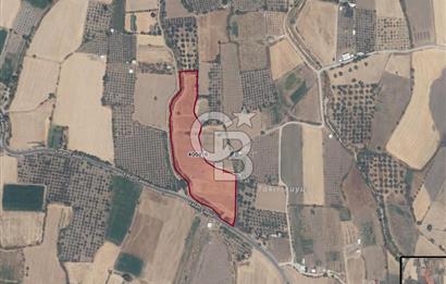 ALİAĞA ÇITAK'TA YOLA CEPHELİ 3119 m² ARSA - ELEKTRİK SU YANINDA