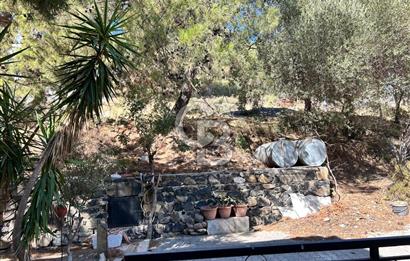  Yenifoça Cumhuriyet Mahallesinde Satılık 5+2 Tripleks Villa